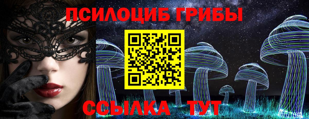 Кимры  как найти наркотики  Вход с VPN  Псилоцибиновые грибы Psilocybine cubensis 